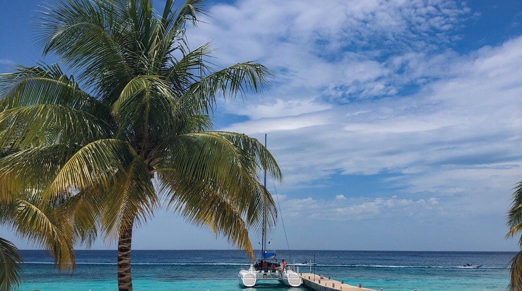 The midday sun only makes this place even more attractive. If going to #Cozumel, try and stay at one of the many hotels that, like the #Westin, have easy access to snorkel-worthy waters. The reef is right there! #LifeAtExpedia #beach #snorkel #mexico