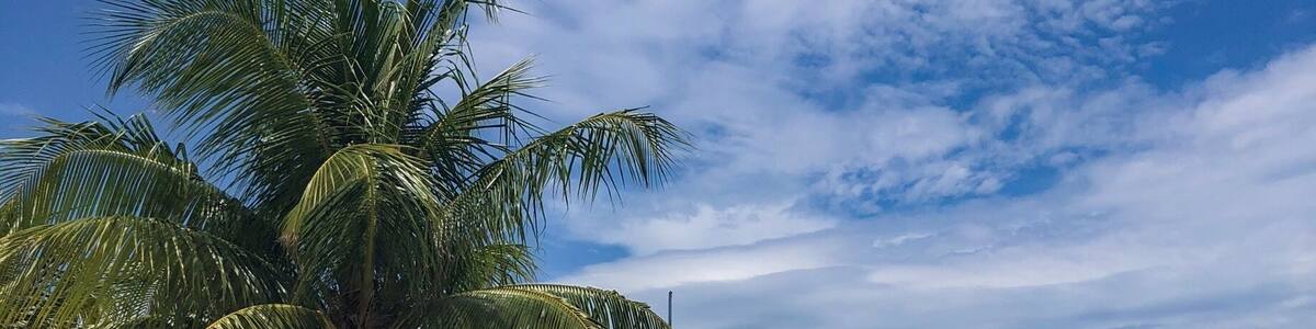 The midday sun only makes this place even more attractive. If going to #Cozumel, try and stay at one of the many hotels that, like the #Westin, have easy access to snorkel-worthy waters. The reef is right there! #LifeAtExpedia #beach #snorkel #mexico