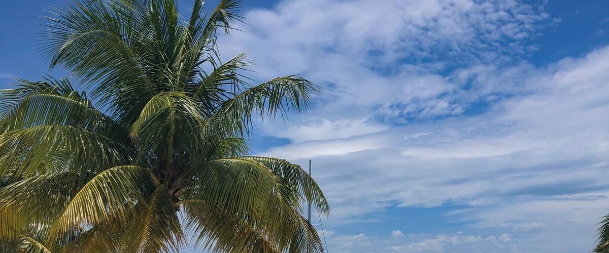 The midday sun only makes this place even more attractive. If going to #Cozumel, try and stay at one of the many hotels that, like the #Westin, have easy access to snorkel-worthy waters. The reef is right there! #LifeAtExpedia #beach #snorkel #mexico