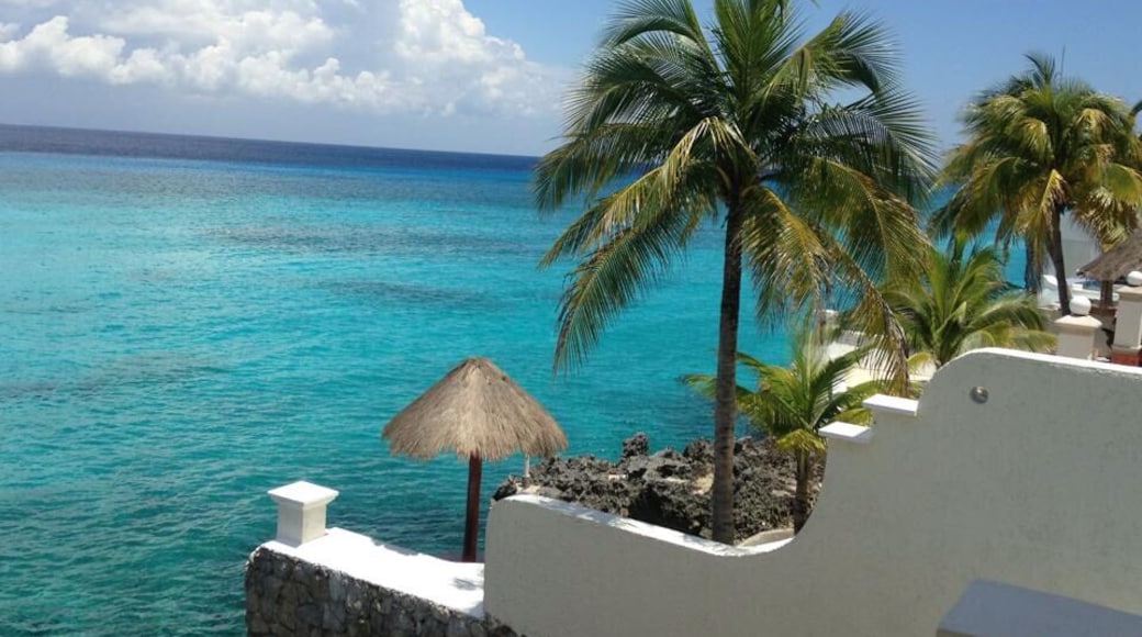 I could go on and ON about the fabulous service we received here!! It's a small, dive focused, hotel just off the main road exiting town! This particular shot was taken from our SHOWER!! I mean, really?!! Need I say more?!