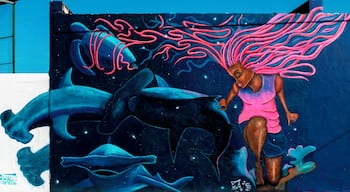 The streets of Cozumel had a very recent facelift. There are some very cool street art all over the island. I'll do my best to post the exact location of all the art I find in the next few weeks. Stay tuned.
#Blue