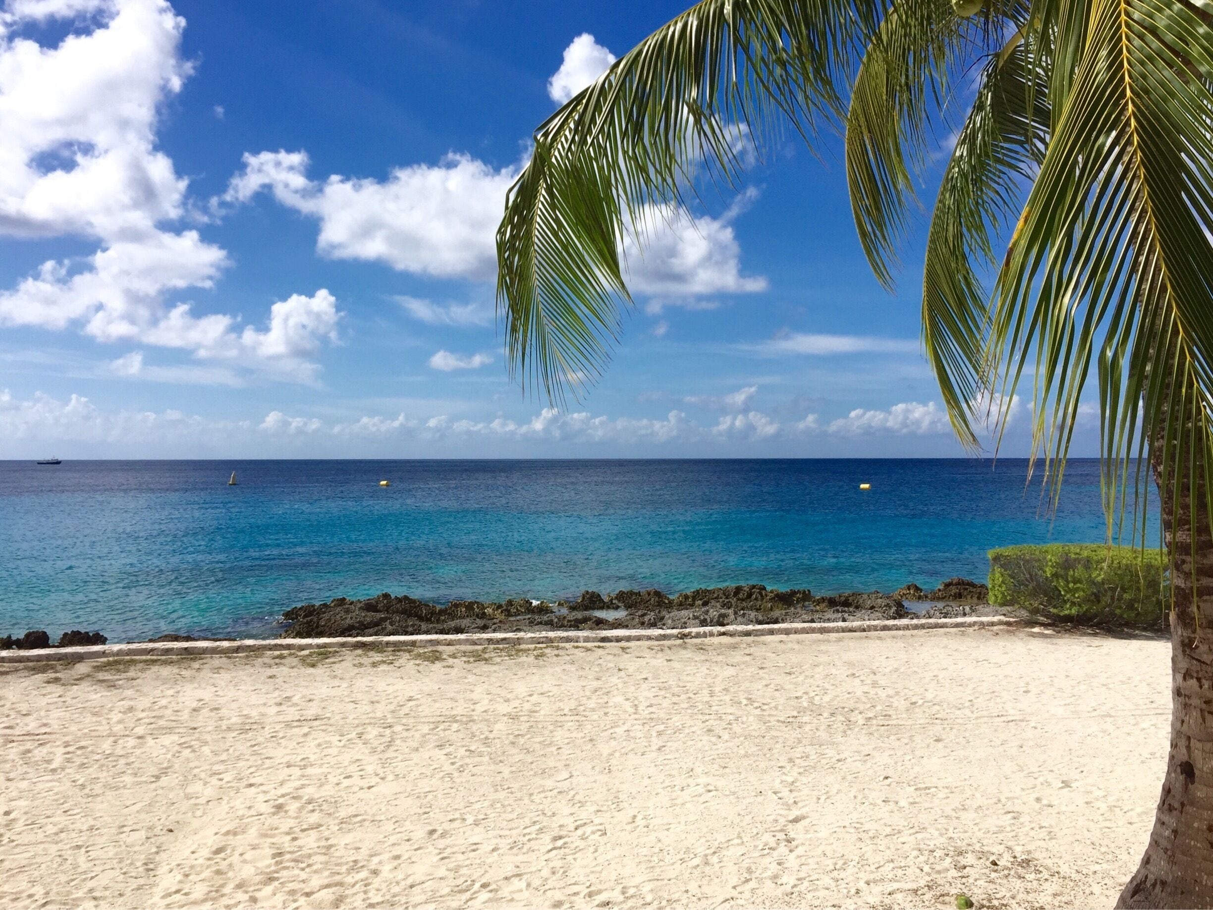 The amazing blue water of Cozumel. 