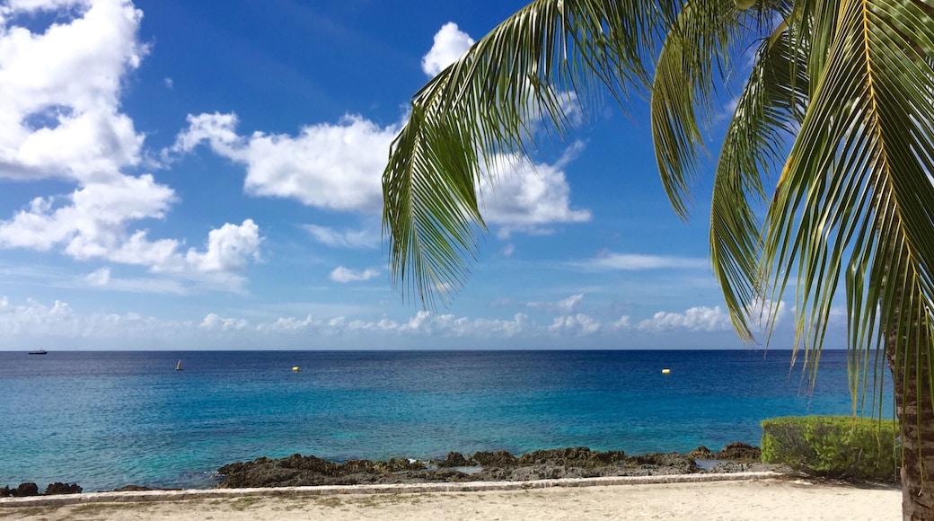 The amazing blue water of Cozumel.