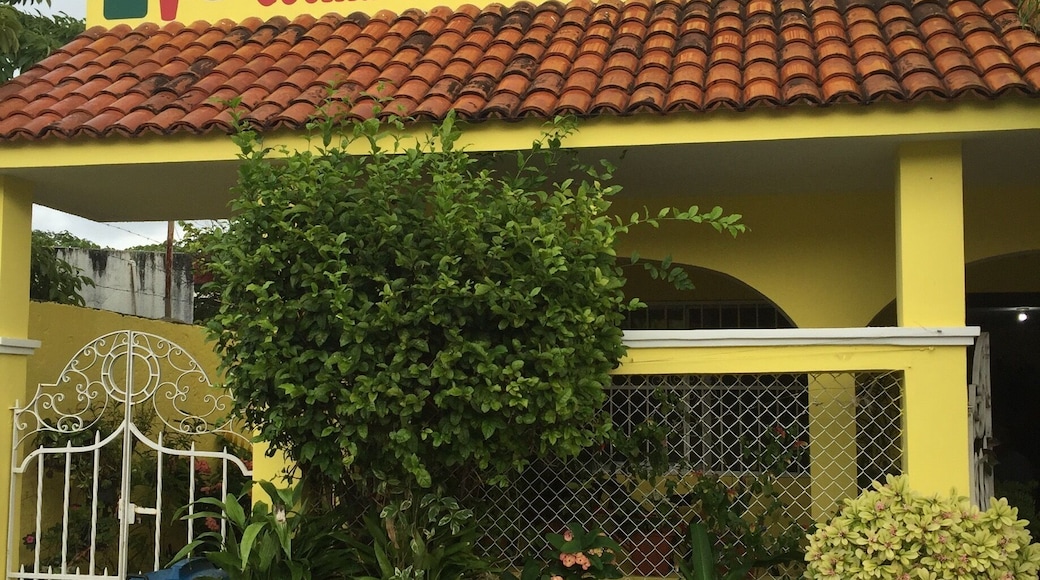 We discovered this secret gem through our local dive guide. The best food around. No one speaks English. And the best part is you get an entire meal, plus a pitcher of tea for around $5.00. Ask a local for the exact address.