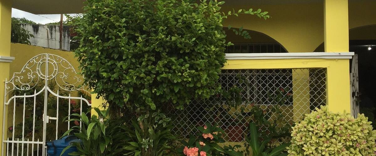 We discovered this secret gem through our local dive guide. The best food around. No one speaks English. And the best part is you get an entire meal, plus a pitcher of tea for around $5.00. Ask a local for the exact address.