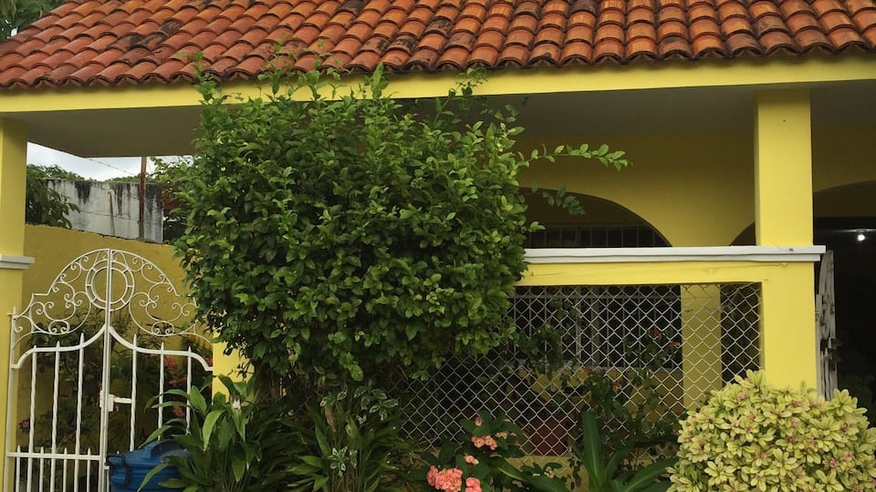 We discovered this secret gem through our local dive guide. The best food around. No one speaks English. And the best part is you get an entire meal, plus a pitcher of tea for around $5.00. Ask a local for the exact address.