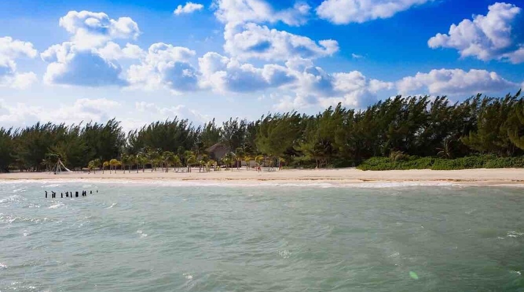 Beautiful Beach visited during a Carnival Cruise to Cozumel Mexico.