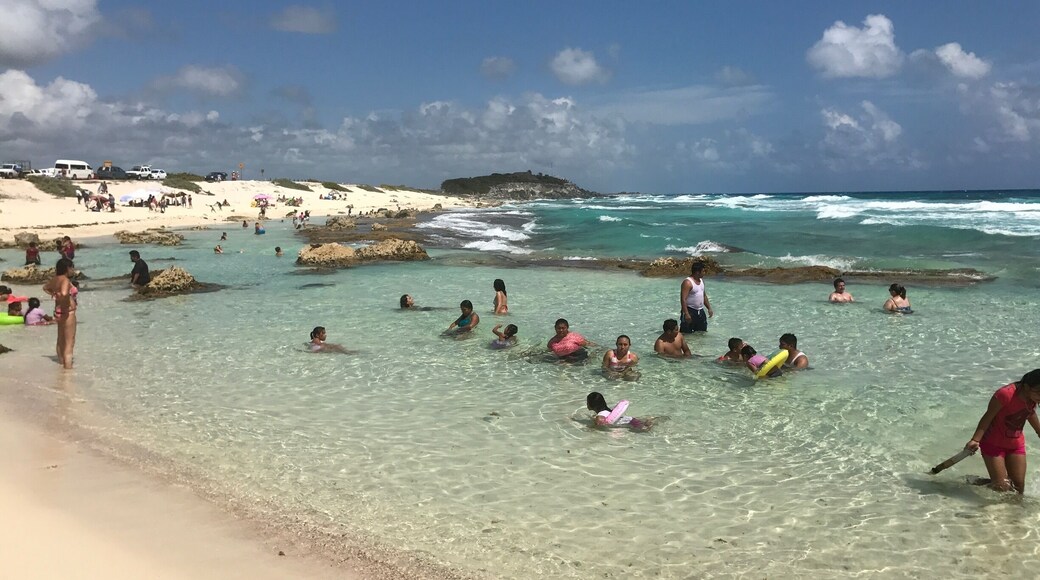 Mexico đČđœ â€â€â€