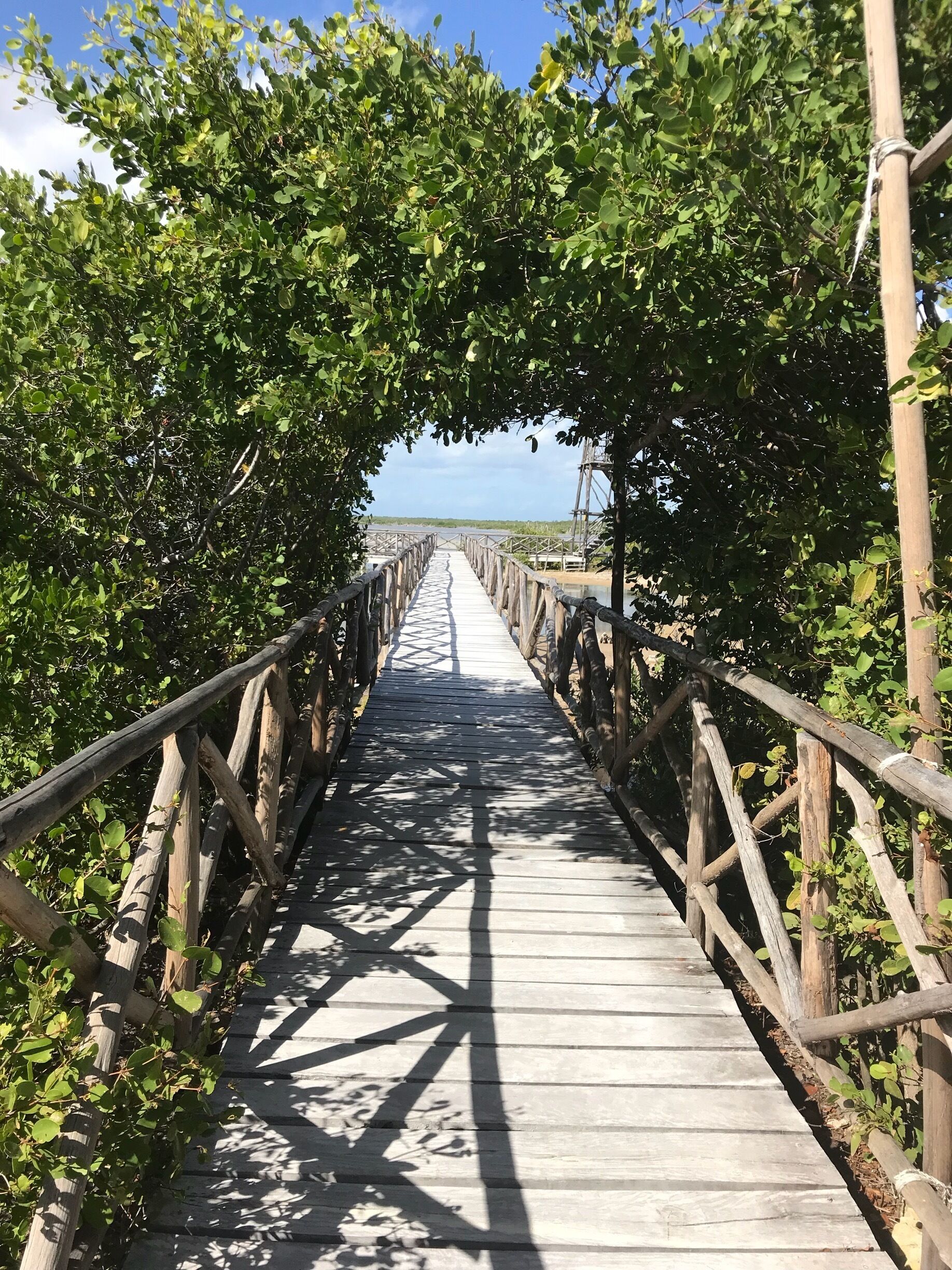 A long drive out to the lighthouse and small archeological site.