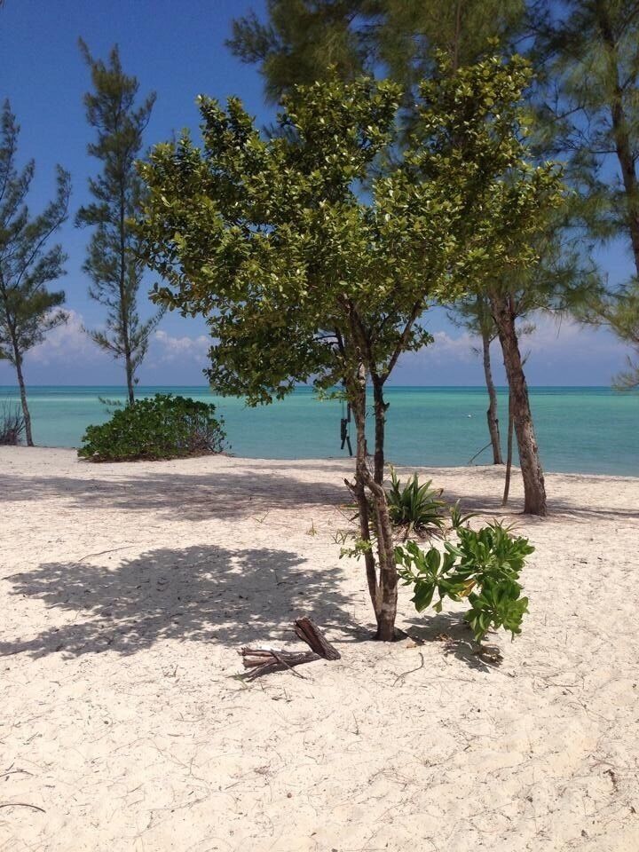 To get to this beach you must take a boat...no people for miles and a beach that seems to go on forever with the striking brilliant green palm trees to offer shade. Isla de Cozumel is where my heart lives. My body will join it permanently one day when I retire! #lifeatexpedia