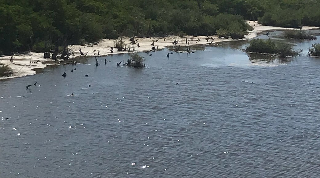 The lighthouse is the highlight