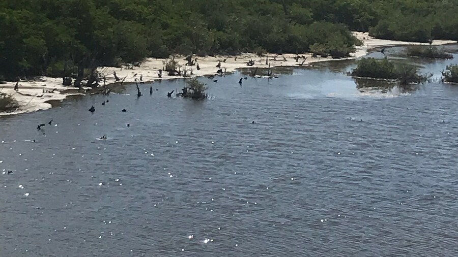 The lighthouse is the highlight