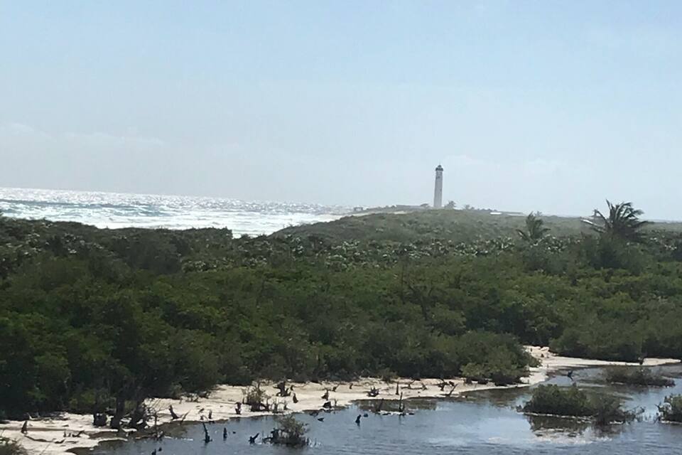 A coastal landscape with a lighthouse, dense greenery, and a calm body of water.