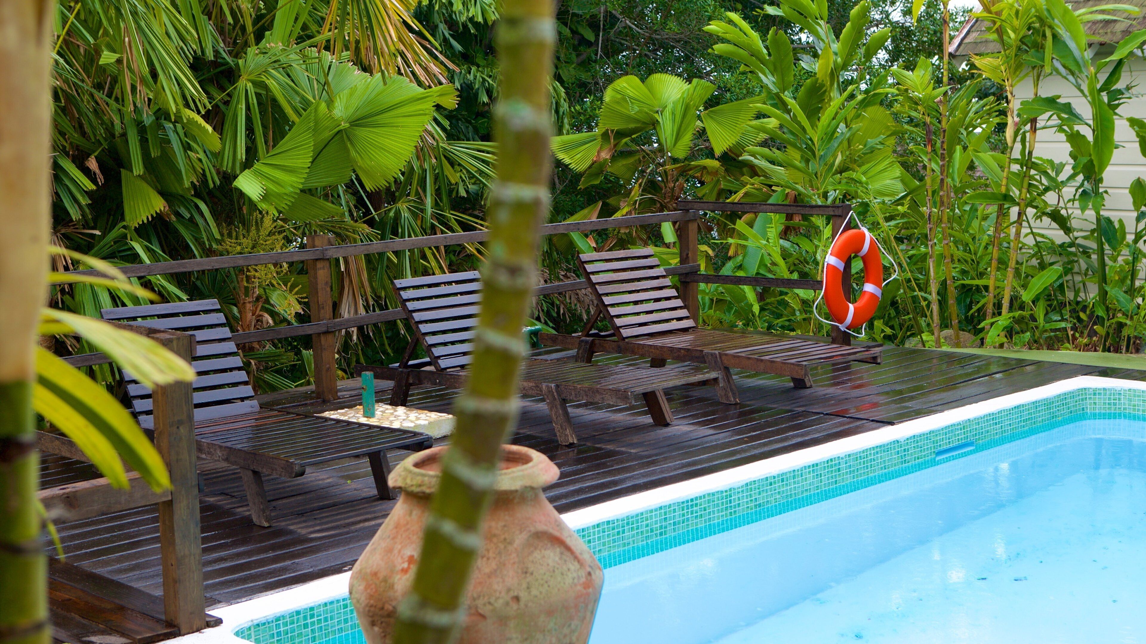 Kingston qui includes piscine et hôtel ou complexe de luxe