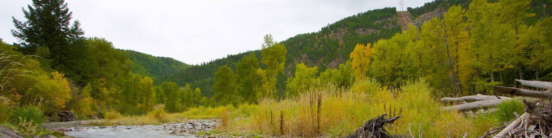 Missoula featuring forest scenes, a river or creek and tranquil scenes