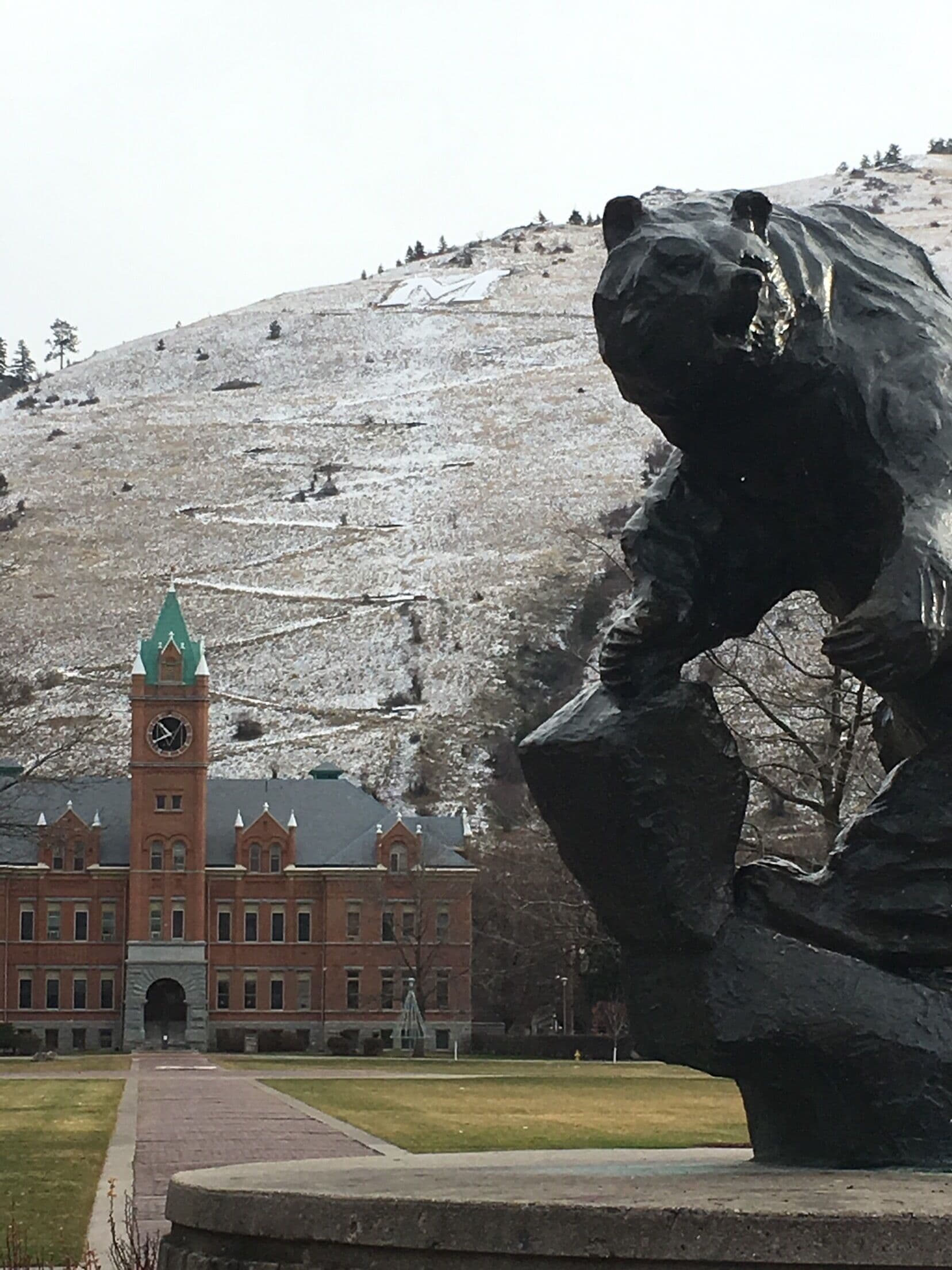 The Grizzly on the Oval of UM