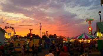 The best thing to do in Missoula is to go to the Rodeo and Fair.
Great food, fun rides and a thrilling rodeo.
Go at sunset to catch the best views of the #colorful