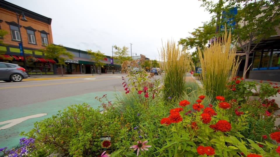 A street with a bike lane, red flowers, and a building with a green awning.