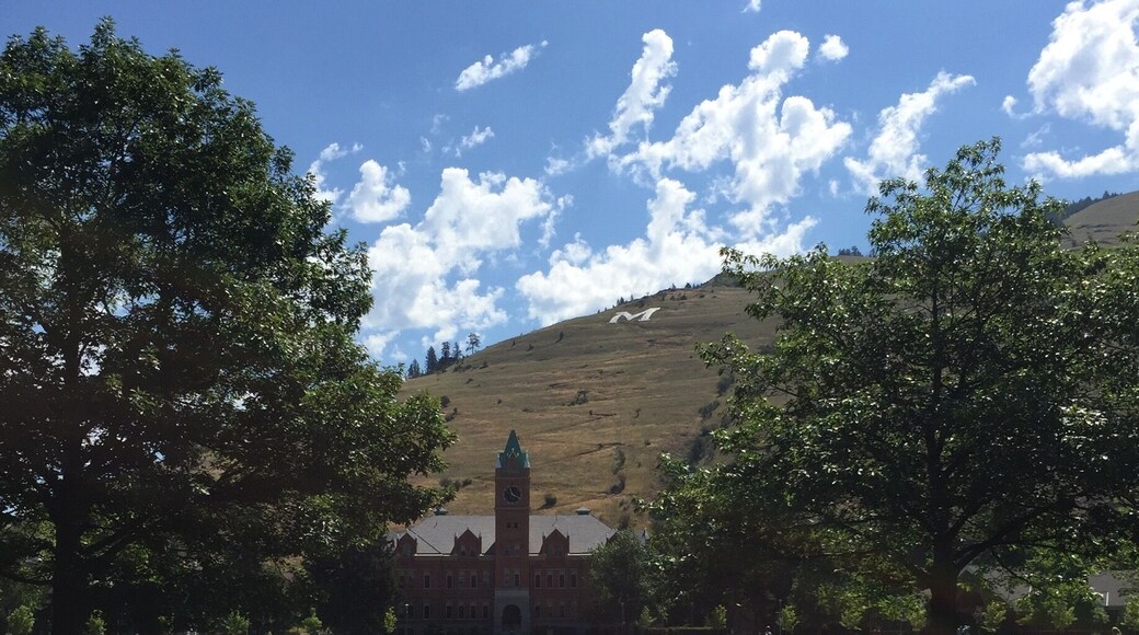 Can I get a do over and major in fly fishing?