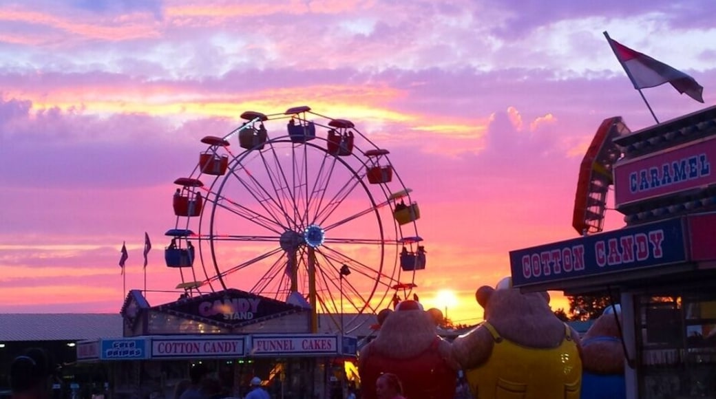 The best thing to do in Missoula is to go to the Rodeo and Fair.
Great food, fun rides and a thrilling rodeo.
Go at sunset to catch the best views of the #colorful