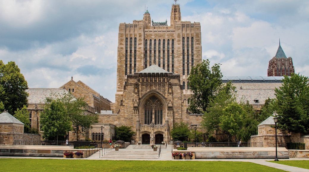 Yale University