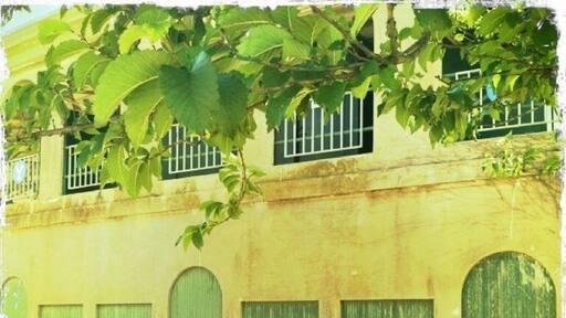 Ticket sales windows @ Yale (baseball) Field