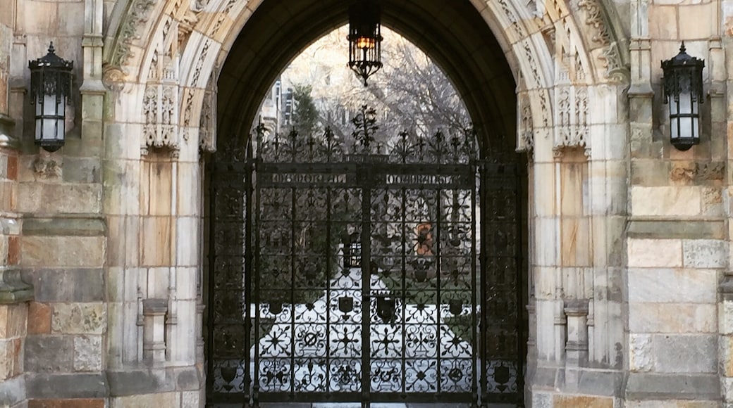 If you're in New Haven, I highly recommend a stroll around the Yale campus. #yale #newhaven #connecticut