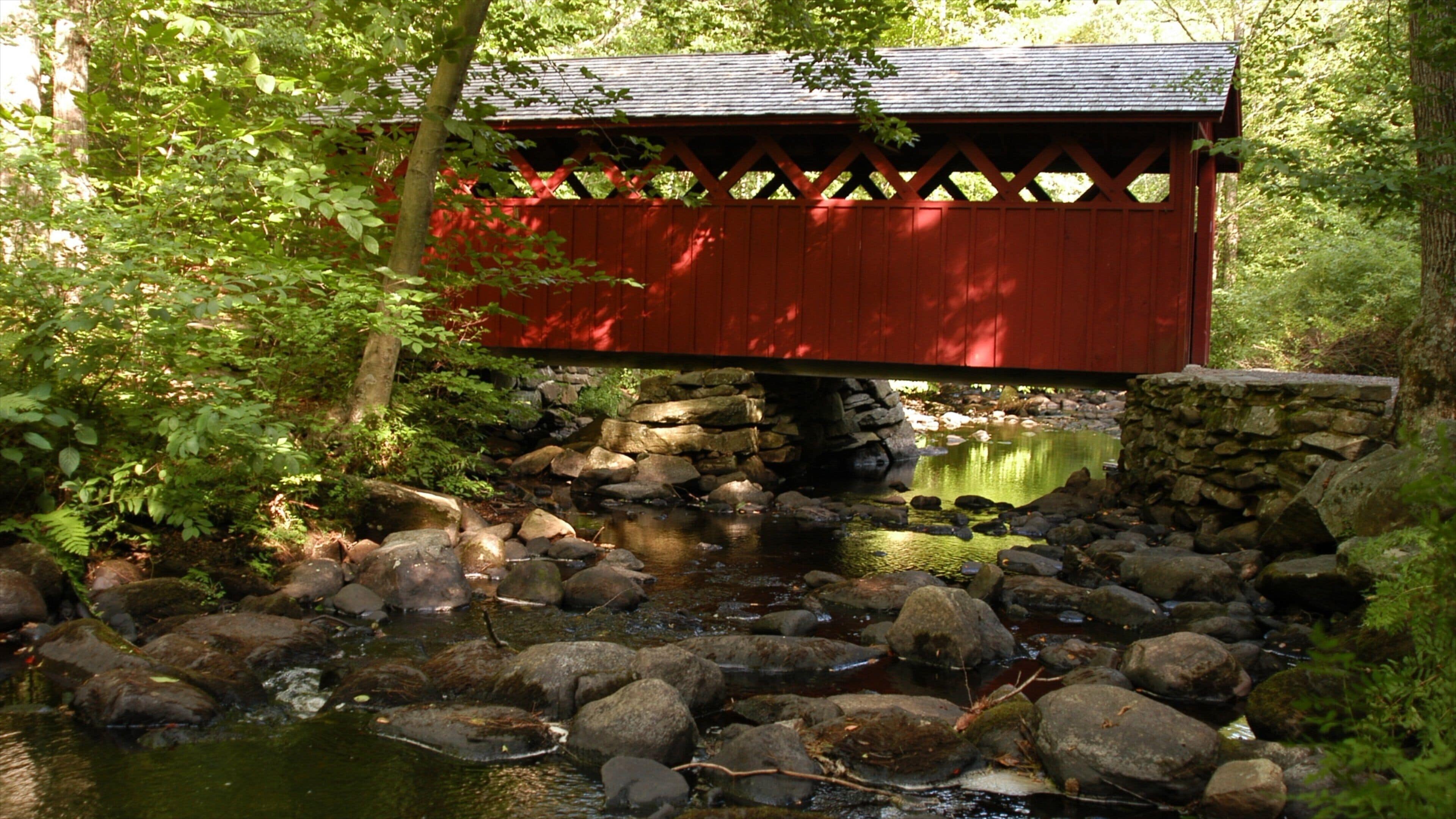 New Haven showing a bridge, forest scenes and landscape views