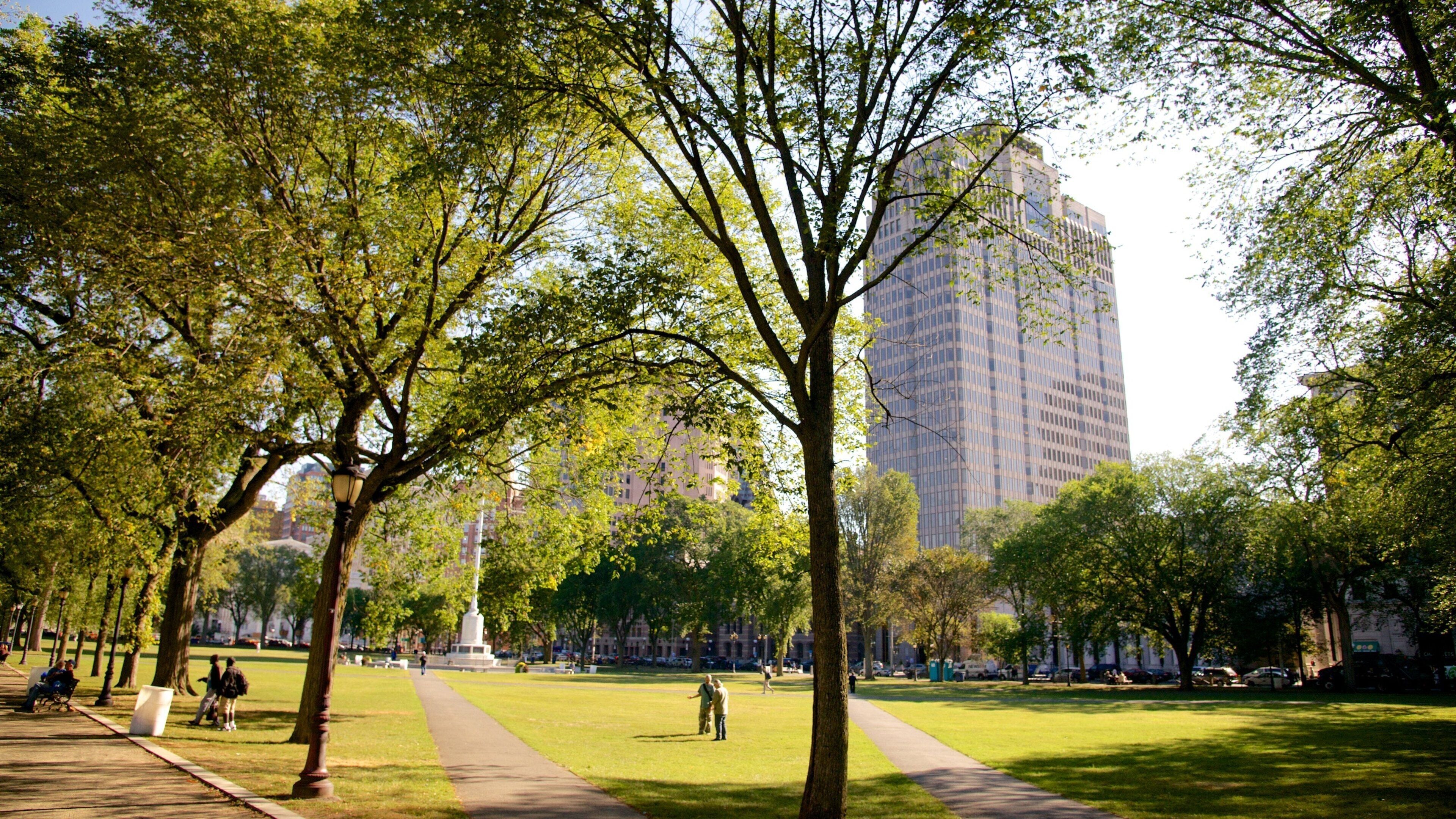New Haven featuring a garden