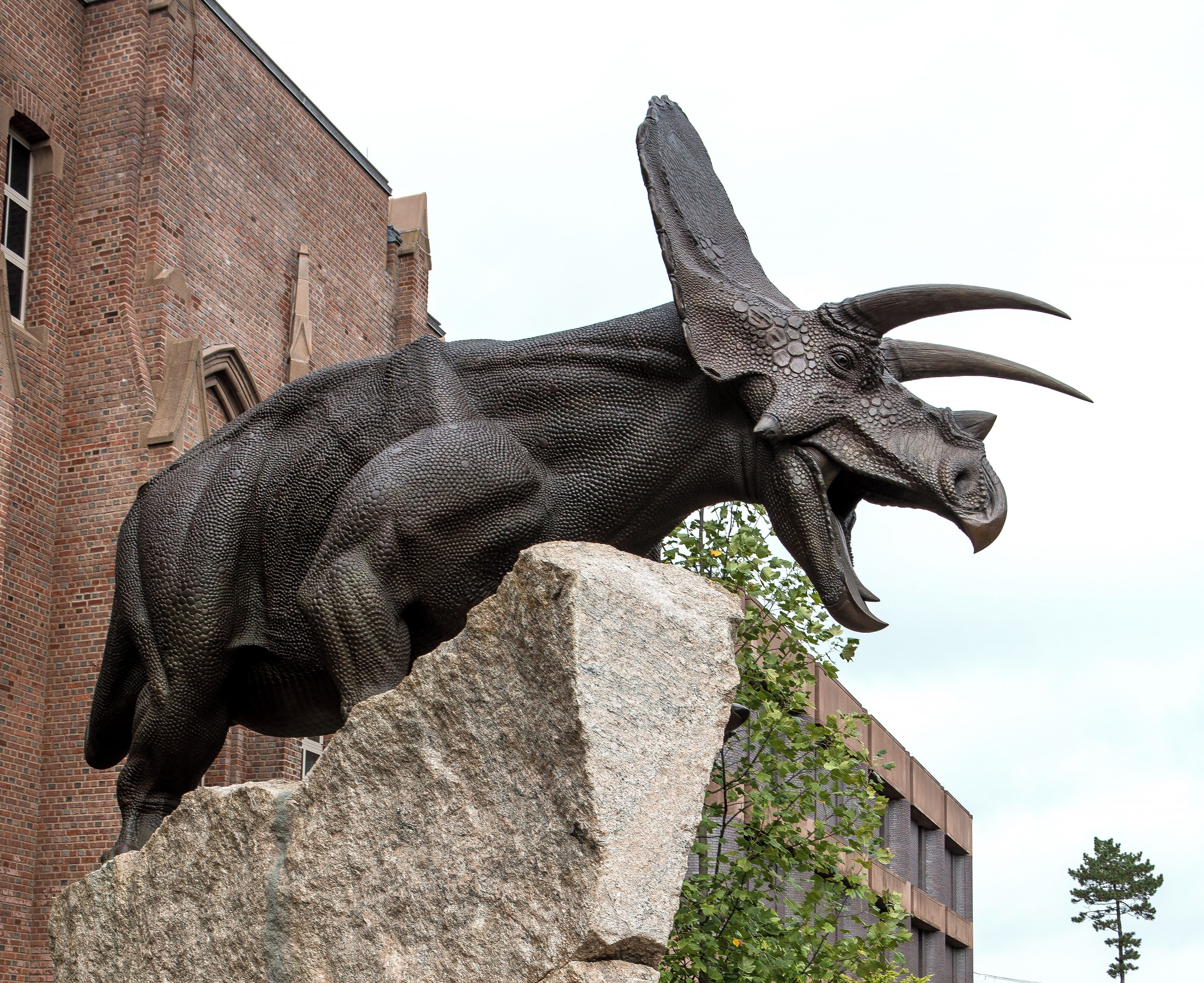 Guardian of the gate?