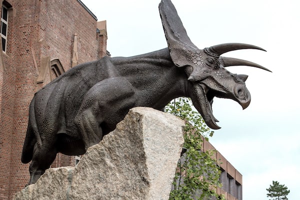 Guardian of the gate?