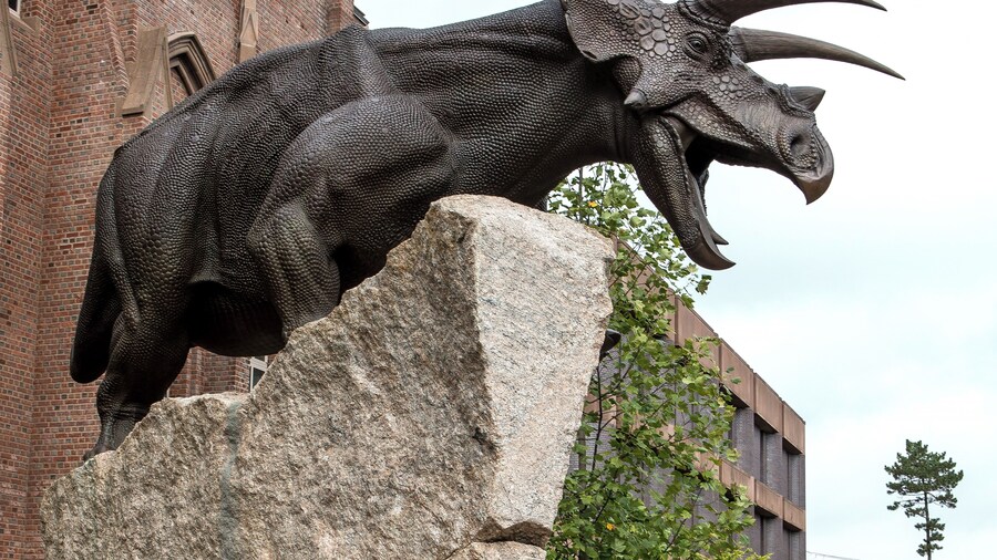Peabody Museum of Natural History