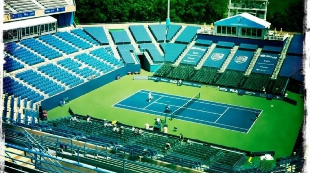 Professional tennis ..