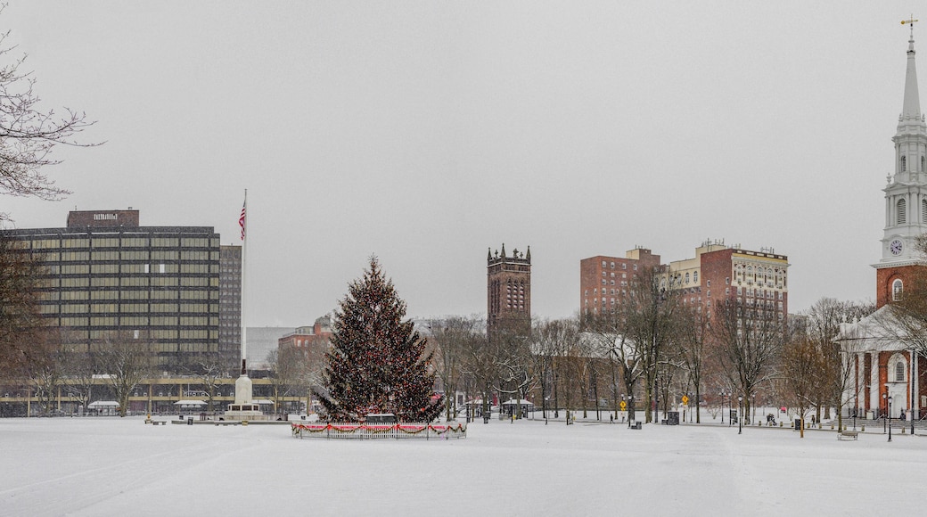 Un parque cubierto de nieve con un árbol de Navidad decorado, una iglesia con campanario y varios edificios al fondo.
