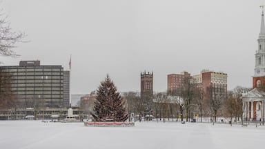 Un parque cubierto de nieve con un árbol de Navidad decorado, una iglesia con campanario y varios edificios al fondo.