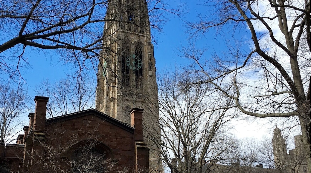 Spring at Yale