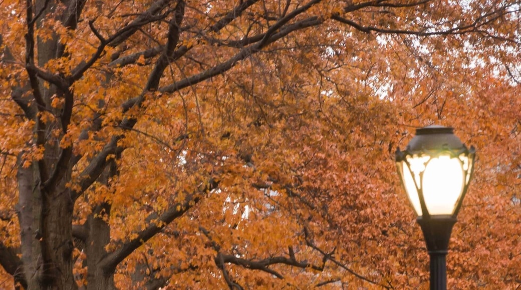 Campus tourism could be a thing in the United States, and rightly so. There may be a lack of history in the country, but many a legacies are nurtured on the premises of educational institutions. Each time we step into a sprawling university campus, our hearts soar and we realize how lucky are those young minds who get a chance to learn in these surroundings.🇺🇸🤗