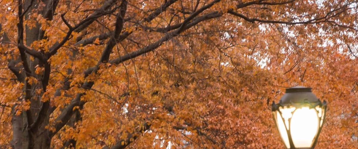 Campus tourism could be a thing in the United States, and rightly so. There may be a lack of history in the country, but many a legacies are nurtured on the premises of educational institutions. Each time we step into a sprawling university campus, our hearts soar and we realize how lucky are those young minds who get a chance to learn in these surroundings.🇺🇸🤗