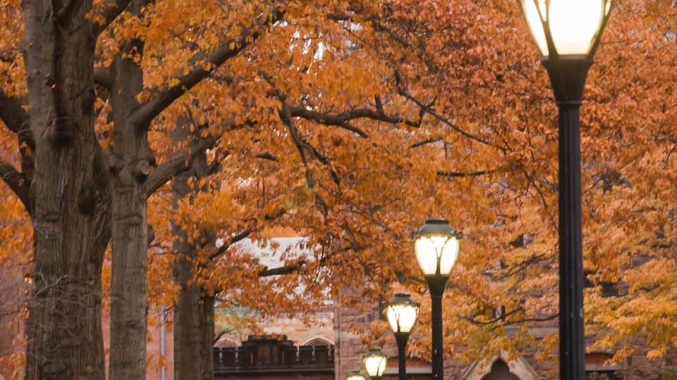 Campus tourism could be a thing in the United States, and rightly so. There may be a lack of history in the country, but many a legacies are nurtured on the premises of educational institutions. Each time we step into a sprawling university campus, our hearts soar and we realize how lucky are those young minds who get a chance to learn in these surroundings.🇺🇸🤗