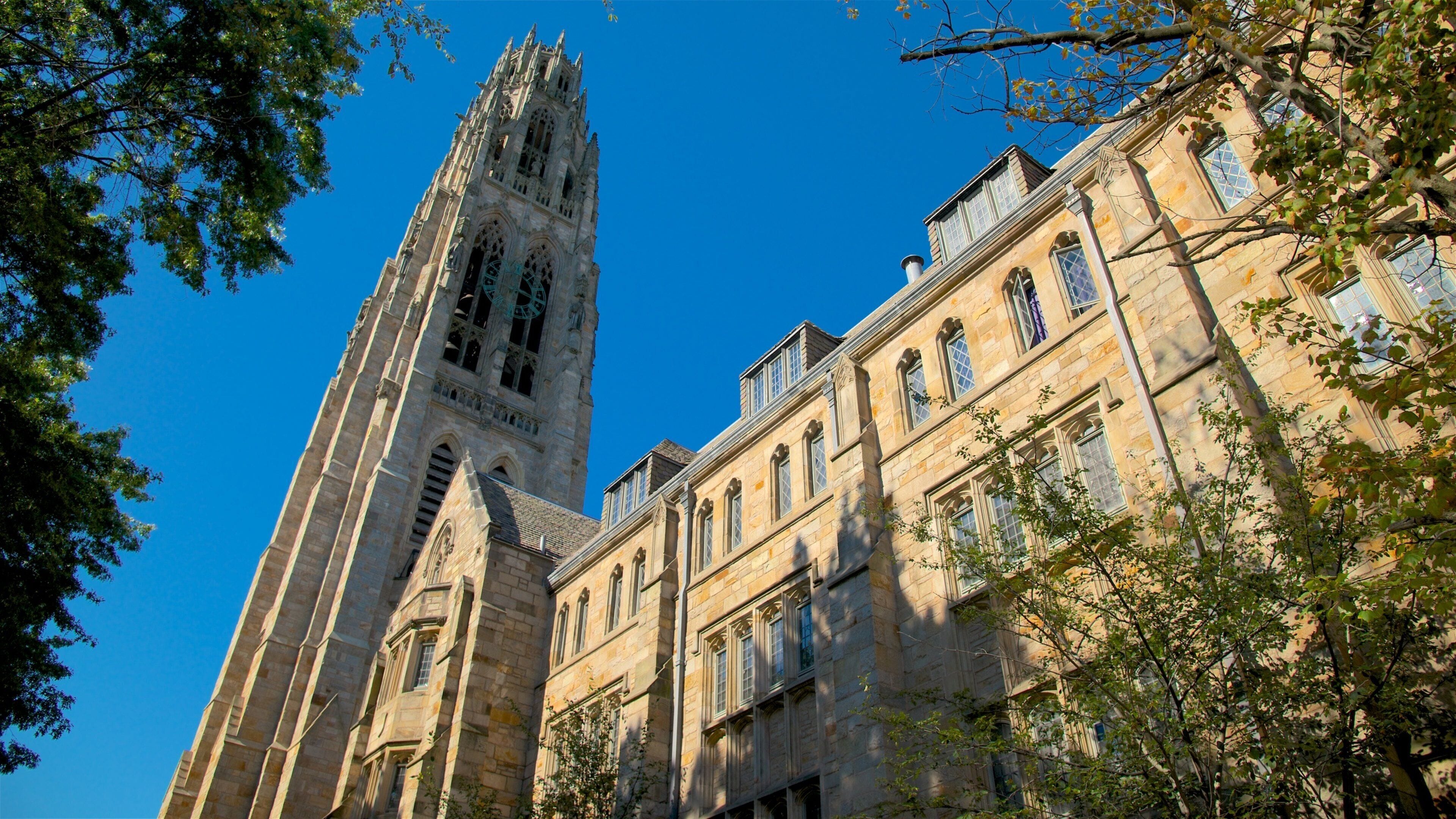 New Haven showing heritage architecture