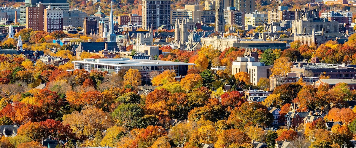 A cityscape with autumn foliage, buildings, and a distant hill.