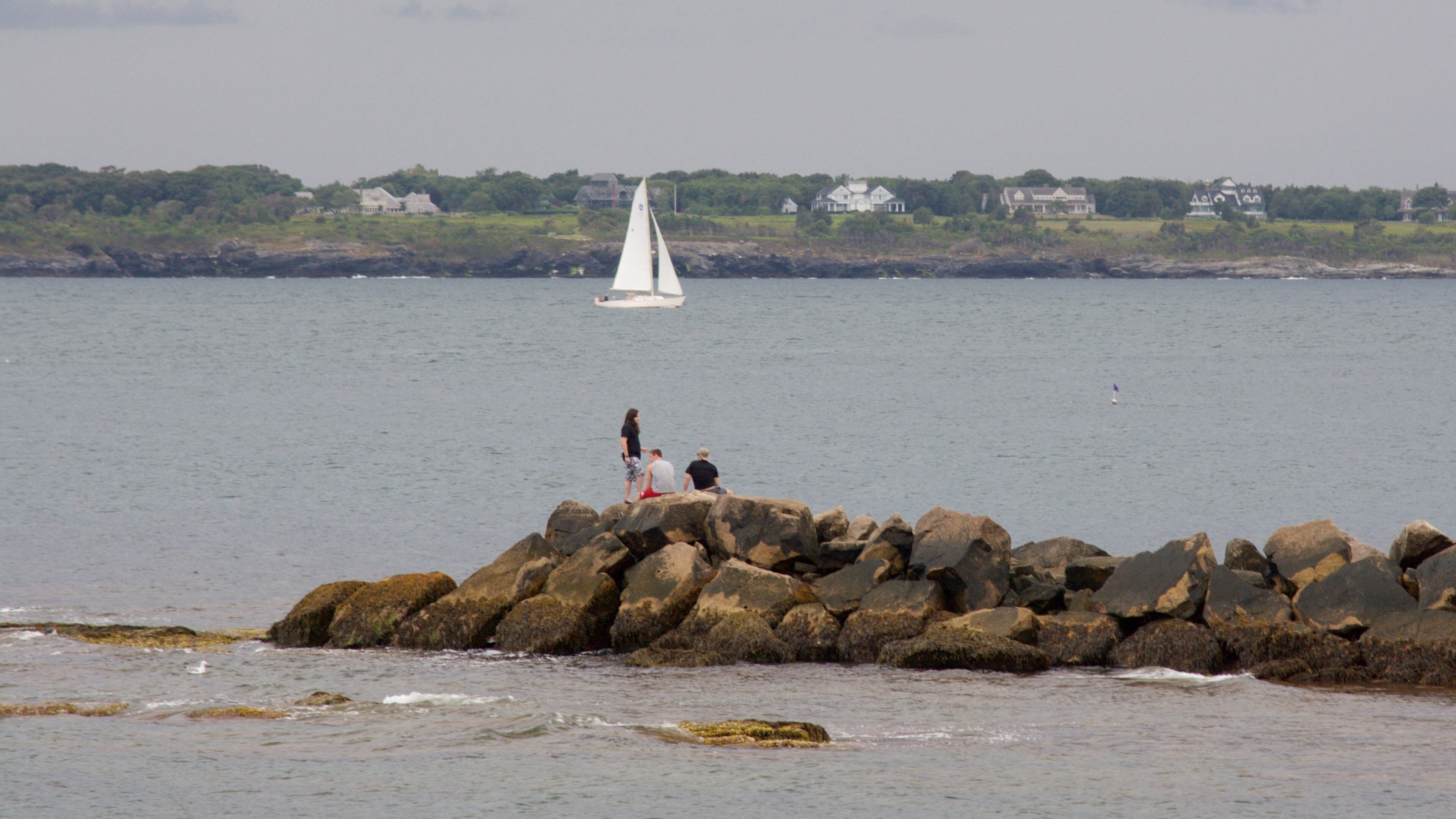 Newport featuring a bay or harbour and rocky coastline