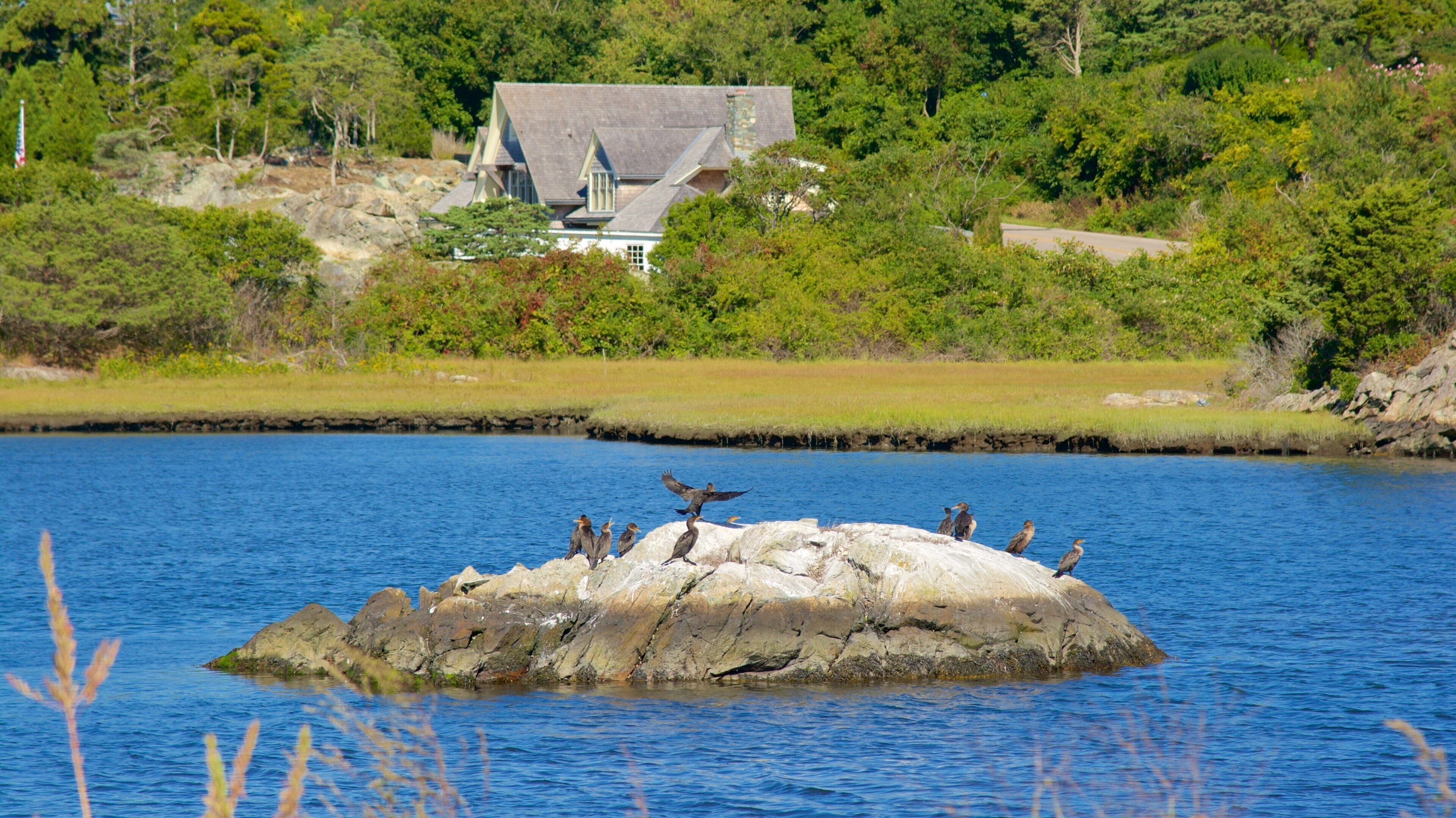 Newport featuring a bay or harbour