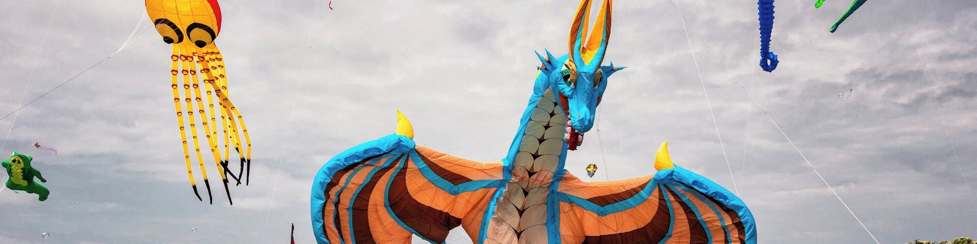 The Newport Kite Festival an annual event held on the second weekend of July at Brenton Point state park in Newport Rhode Island. The Newport Kite Festival is a free event! The parking is free parking as well!
#kites #summer #Newport #festival
#likealocal