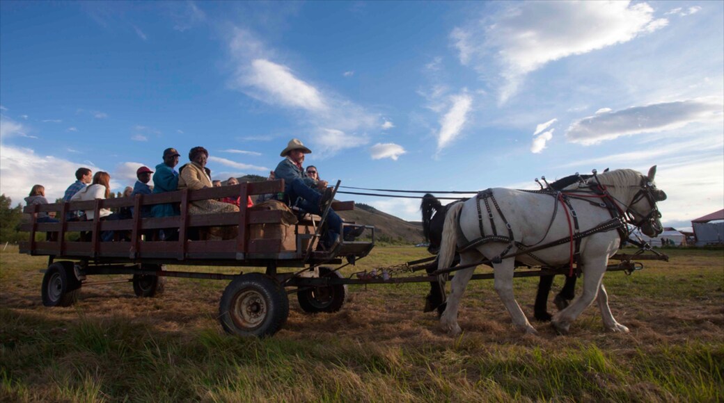 Gunnison - Crested Butte ofreciendo equitación y también un pequeño grupo de personas