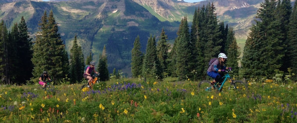 Gunnison - Crested Butte showing wildflowers, mountains and landscape views