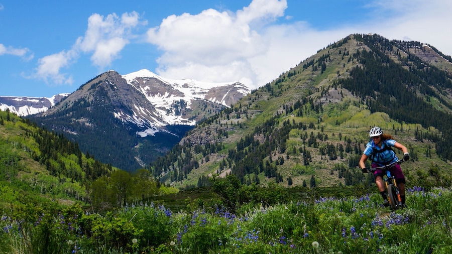 Gunnison - Crested Butte