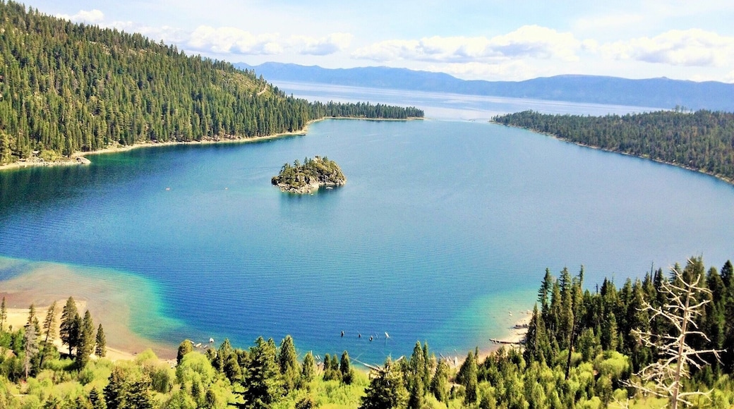 Masterpiece of nature.. Indeed!