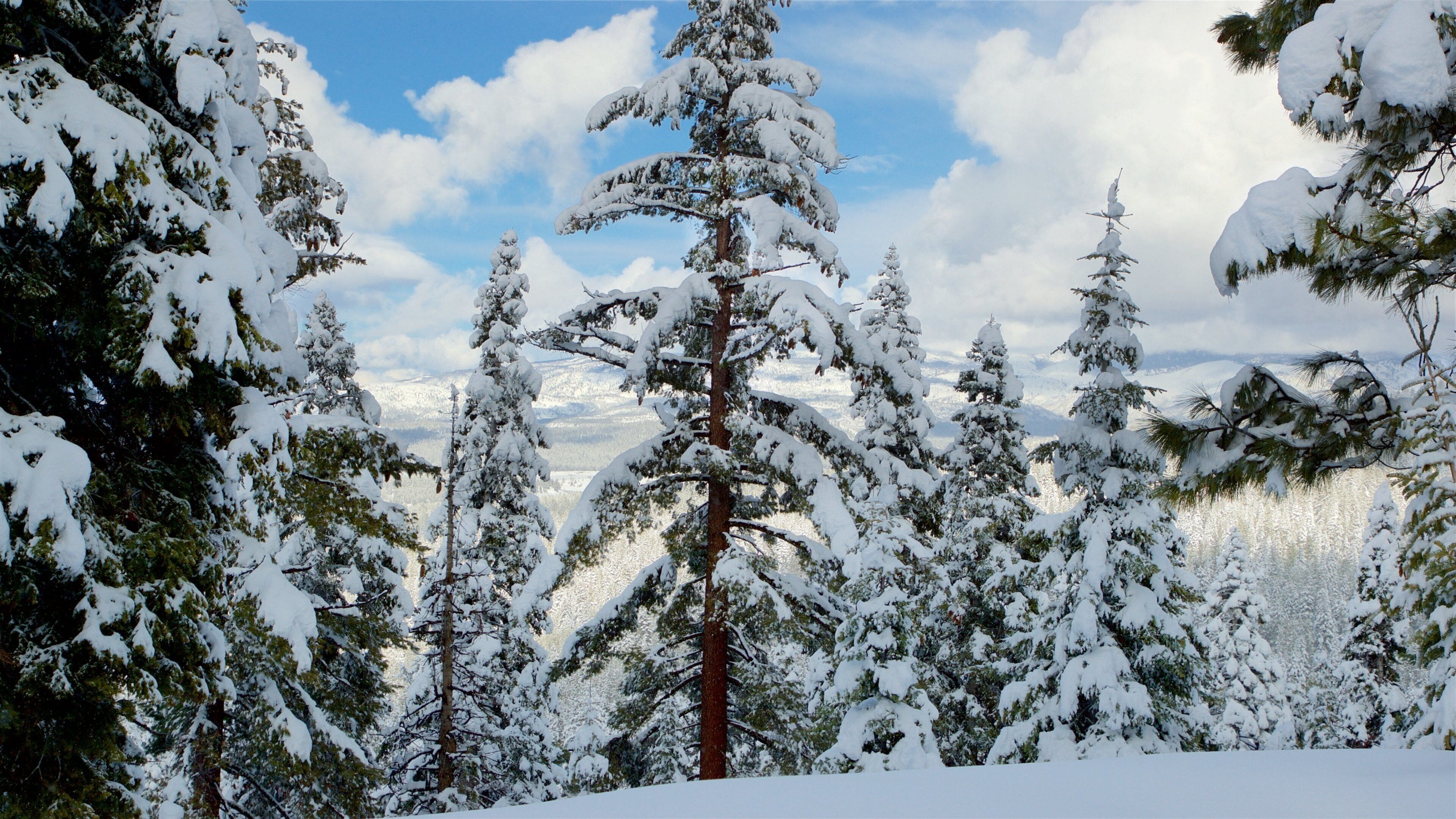 Truckee which includes snow