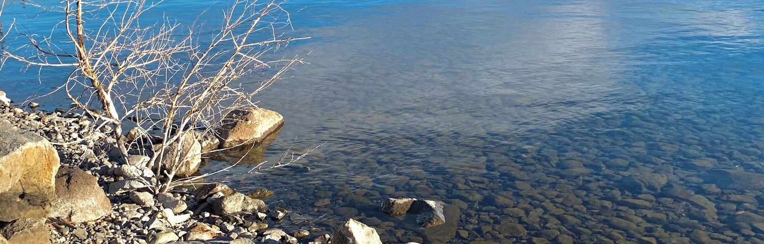 Laketrail in Tahoe City Marina.